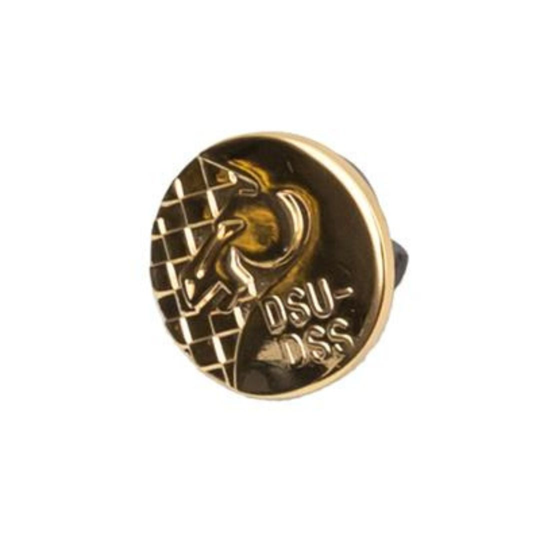 En flot guldfarvet pin med afsenderne Dansk Skak Union og Dansk Skoleskak for at habe bestået Teknikmærket guldspringeren