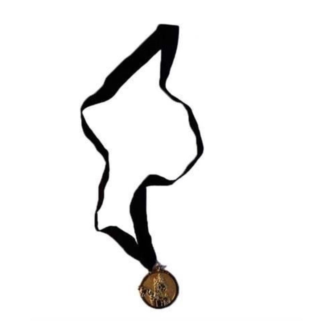 Guldmedalje med Dansk Skoleskaks maskot Duffy, der er et skakvæsen som ofte kan ses til turneringer og DM i skoleskak