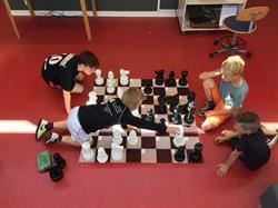 Store skakbrikker - perfekt til skolebiblioteket eller børneværelset